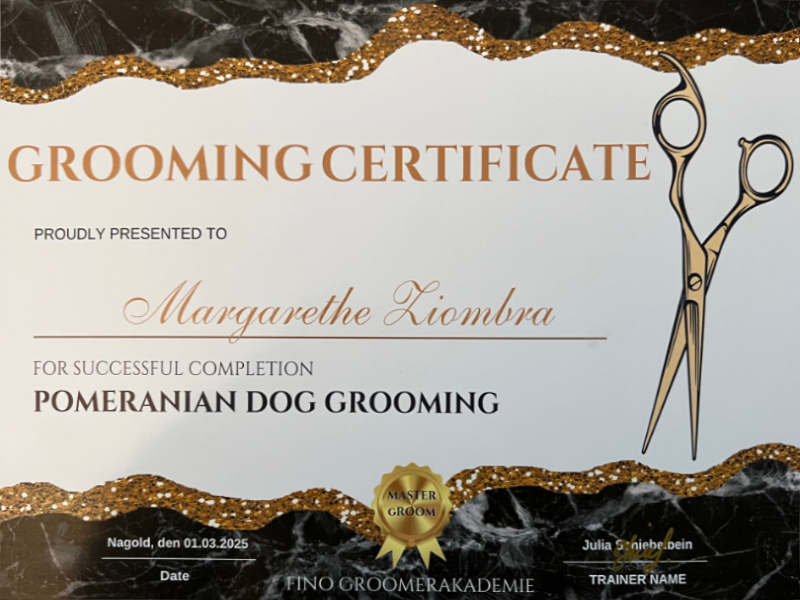 Zertifikat - Pomeranian Dog Grooming
