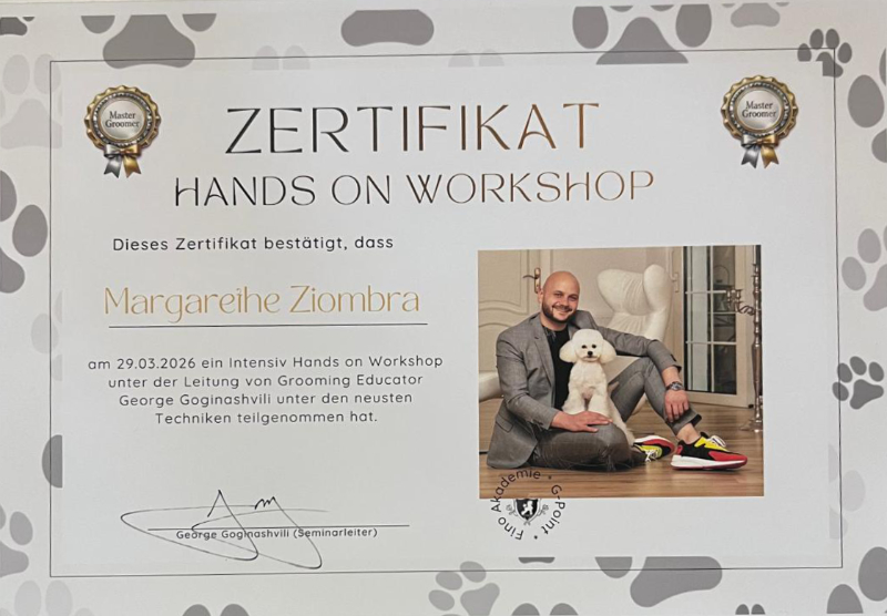 Hands On Workshop - George Goginashvili