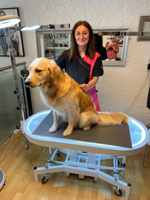 Margarethe Ziombra im Hundesalon Vialo